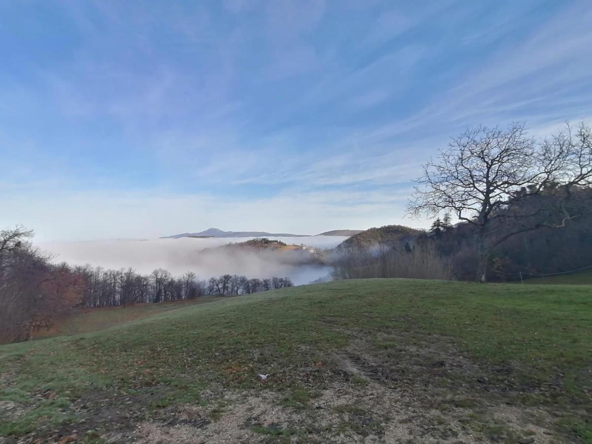 Bed and Breakfast Il Castagneto Camerino Zewnętrze zdjęcie