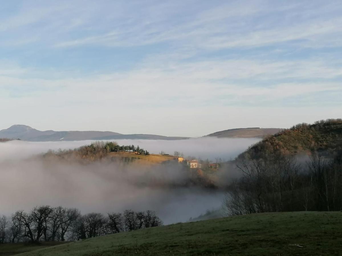 Bed and Breakfast Il Castagneto Camerino Zewnętrze zdjęcie