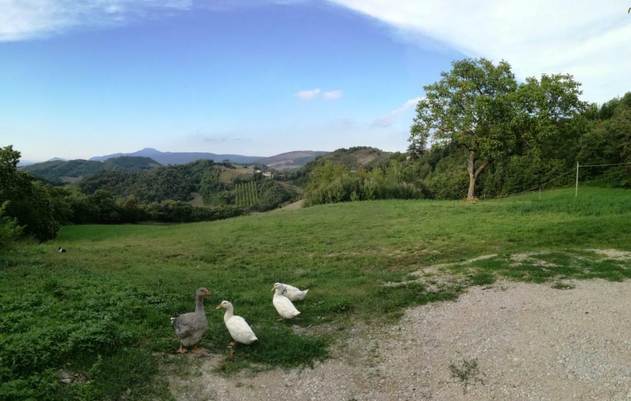 Bed and Breakfast Il Castagneto Camerino Zewnętrze zdjęcie