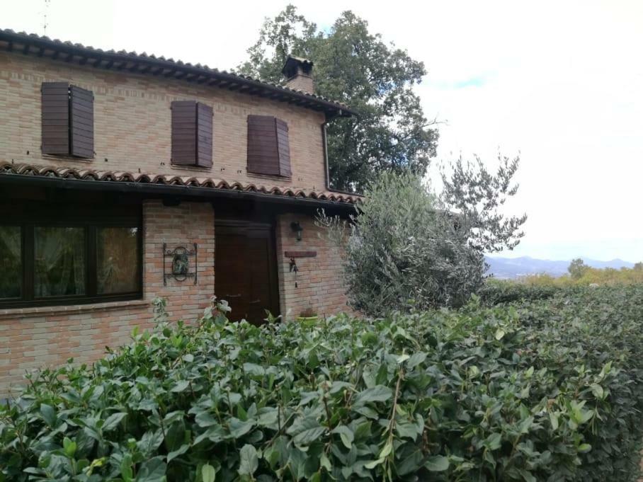Bed and Breakfast Il Castagneto Camerino Zewnętrze zdjęcie